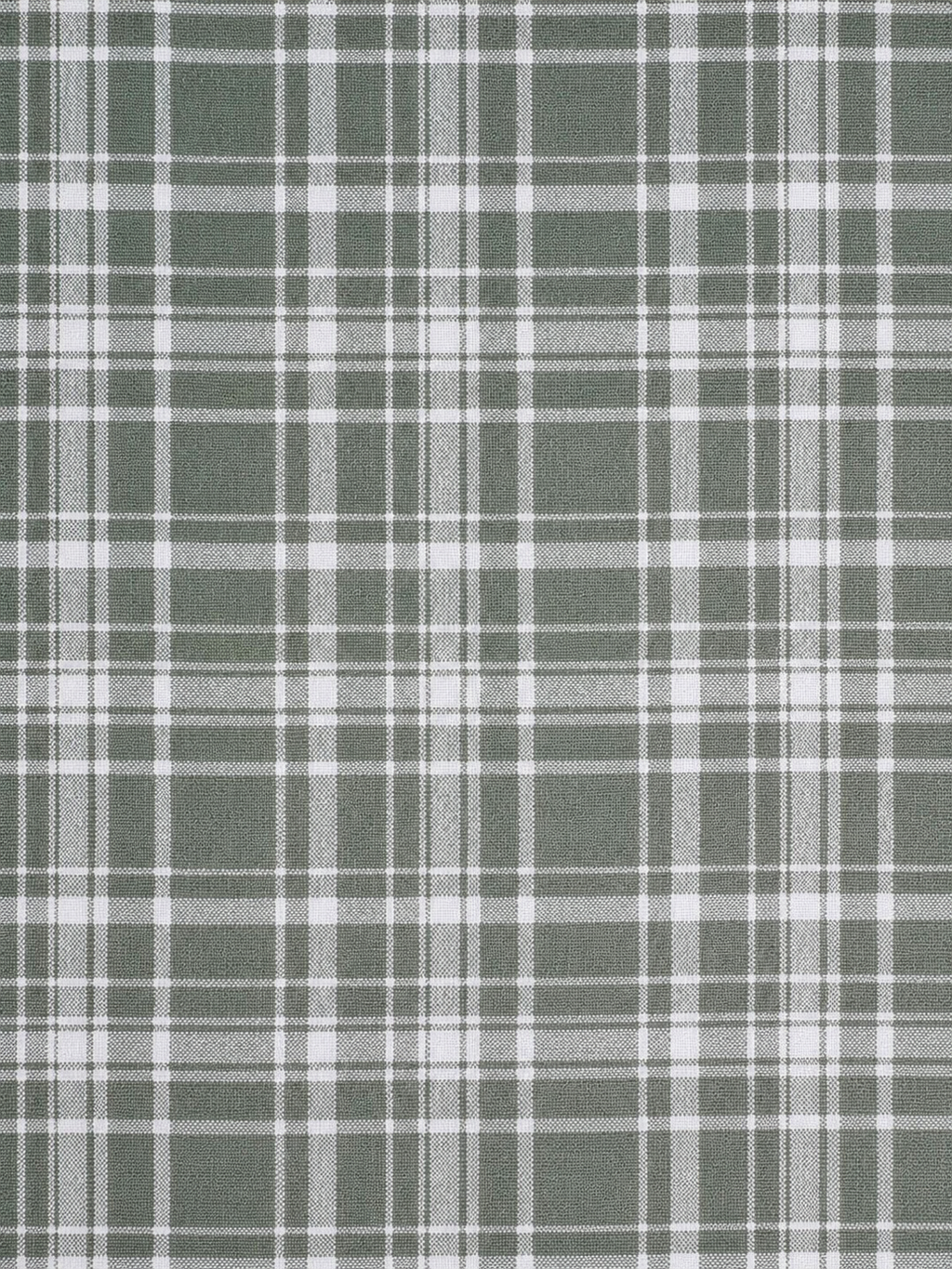 Sage Grid Checked Cotton Shirt